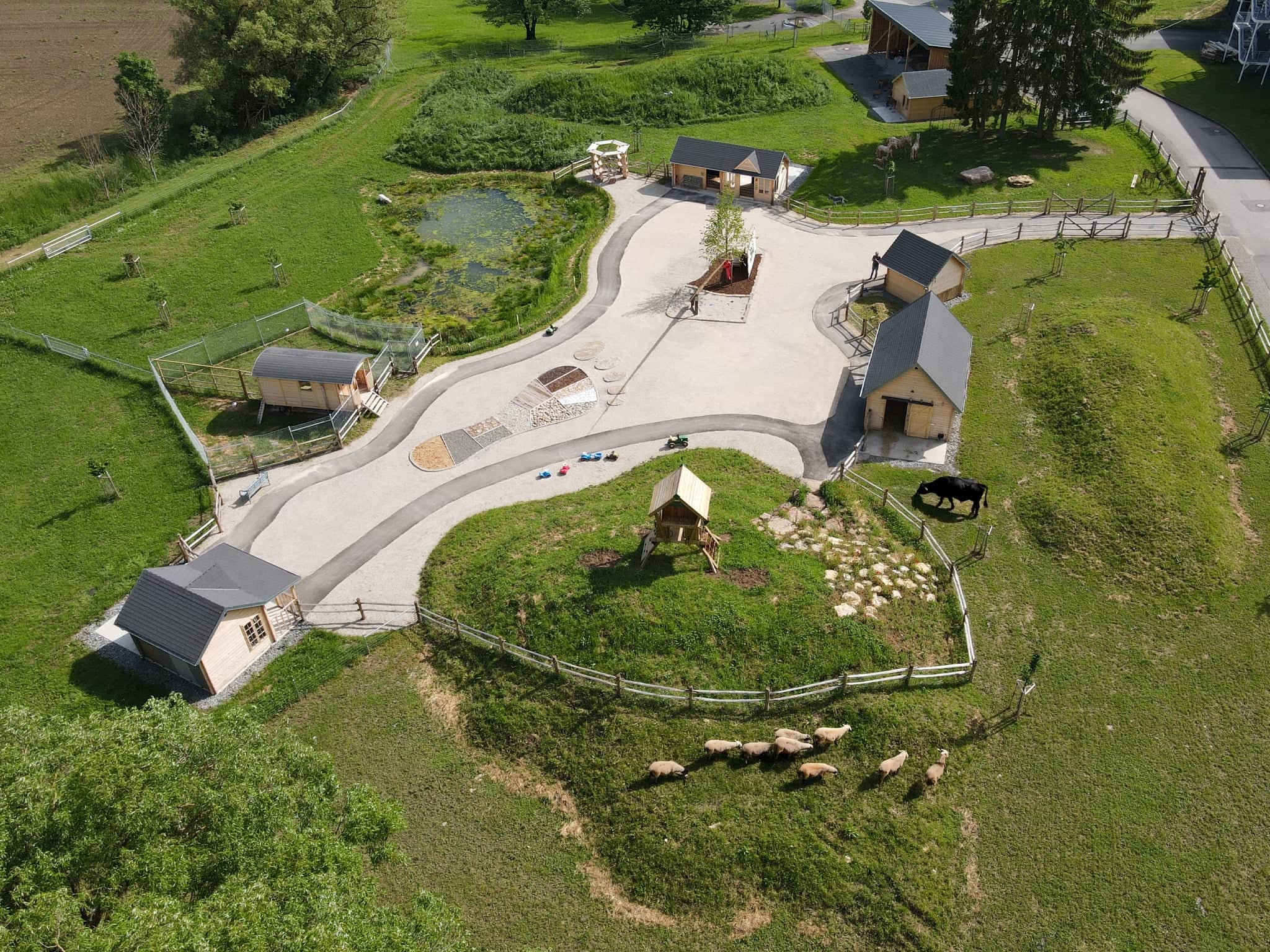 Luftaufnahme von Grammlichs Tierpark in Eberstadt mit Gehegen und Wegen